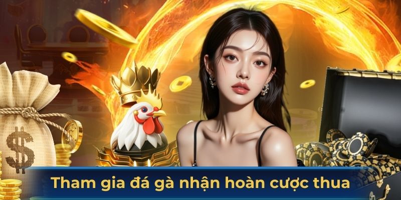 Tham gia đá gà nhận hoàn cược thua
